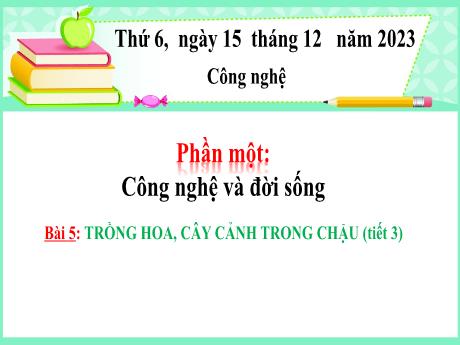 Bài giảng Công nghệ Lớp 4 - Phần 1: Công nghệ và đời sống - Bài 5: Trồng hoa, cây cảnh trong chậu (Tiết 3) - Năm học 2023-2024 - Nguyễn Thị Hải Hà