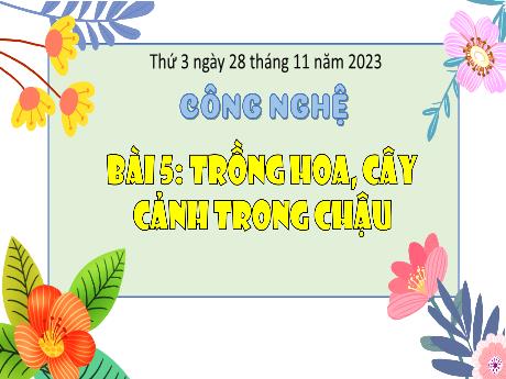 Bài giảng Công nghệ Lớp 4 - Tuần 13, Bài 5: Trồng hoa, cây cảnh trong chậu - Năm học 2023-2024 - Nguyễn Thị Hải Hà