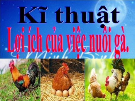Bài giảng Kĩ thuật Lớp 5 - Bài 10: Lợi ích của việc nuôi gà - Nguyễn Thị Kim Chi