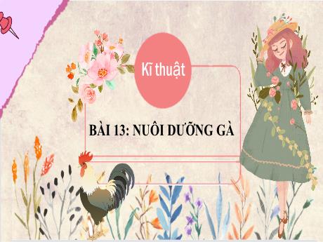 Bài giảng Kĩ thuật Lớp 5 - Bài 13: Nuôi dưỡng gà - Nguyễn Thị Kim Chi