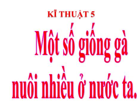 Bài giảng Kĩ thuật Lớp 5 - Một số giống gà được nuôi nhiều ở nước ta