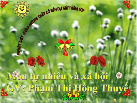Bài giảng Tự nhiên và xã hội Lớp 1 - Chủ đề 1: Gia đình - Bài 1: Kể về gia đình - Nguyễn Thị Kim Chi