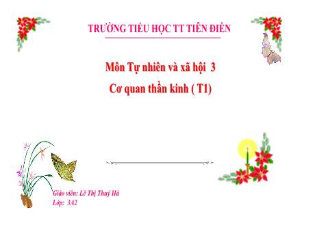 Bài giảng Tự nhiên và xã hội Lớp 3 - Tuần 27, Bài 22: Cơ quan thần kinh (Tiết 1) - Lê Thị Thúy Hà